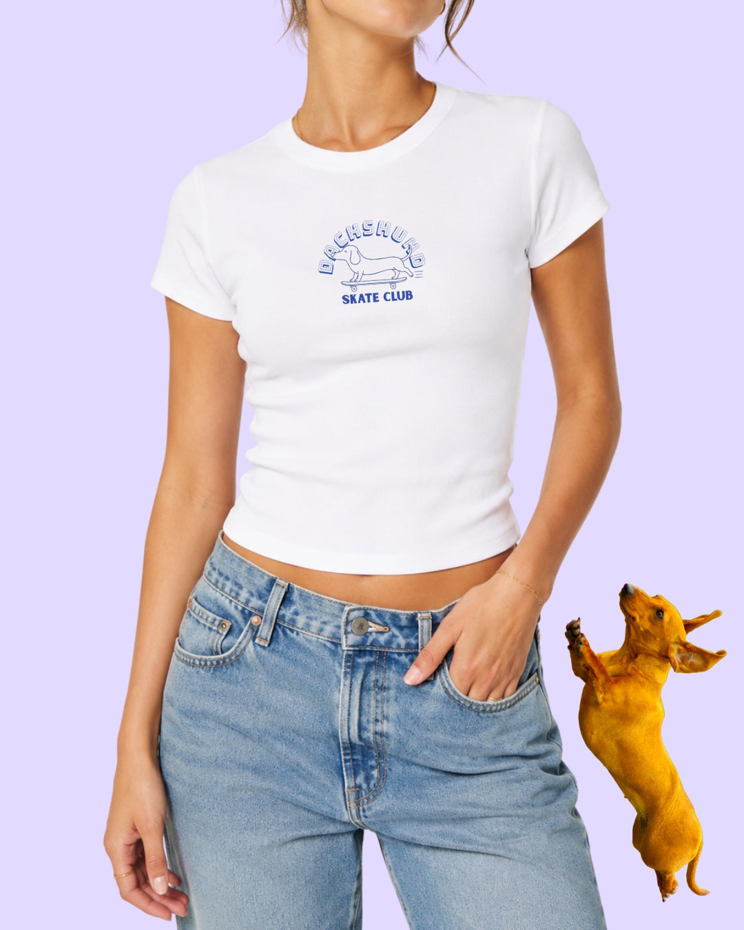 Dachshund Skate Club Blue