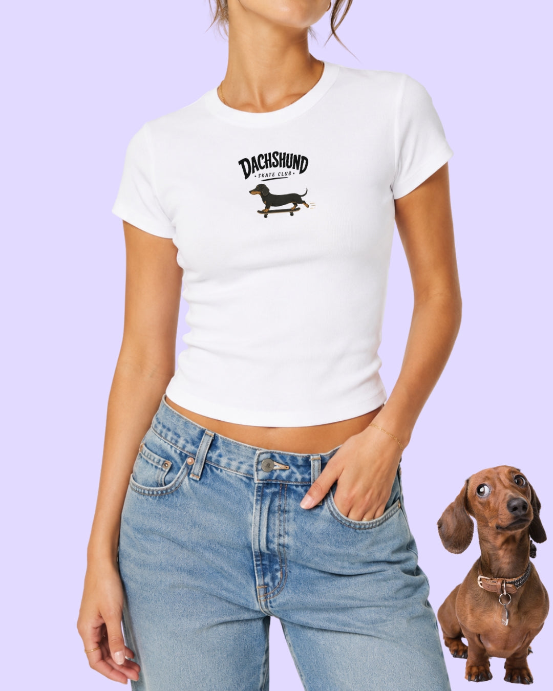 Dachshund Skate Club