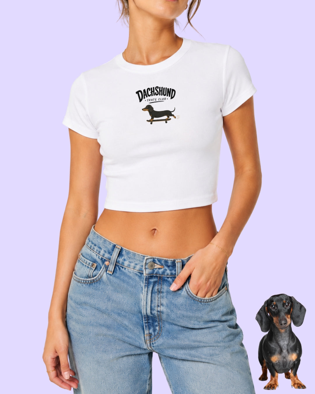 Dachshund Skate Club